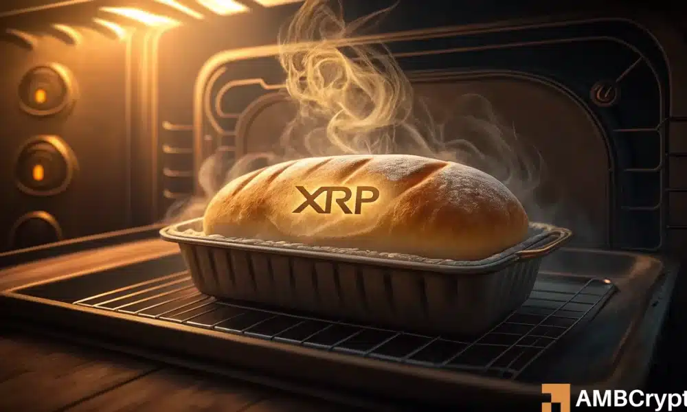 XRP的崛起：持续的LTH支撑，市场聚焦在这个价格水平！